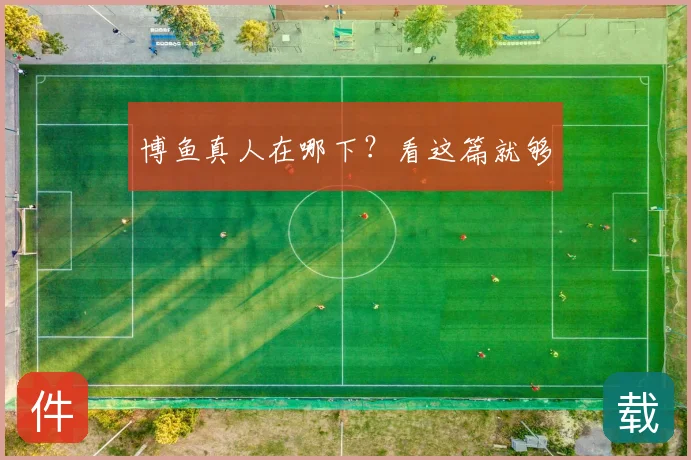博鱼真人在哪下？看这篇就够